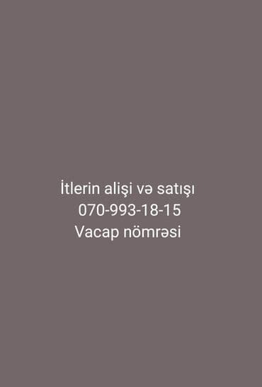UAZ: İtlərin alışı və satışı xidməti - Müxtəlif cins və yaş qruplarında — 1