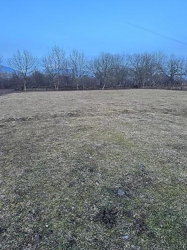 44 sot, Tikinti, Barter mümkündür, Kupça (Çıxarış)