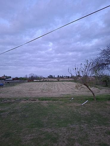 35 sot, Kənd təsərrüfatı, Maklerlər narahat etməsin, Kupça (Çıxarış)