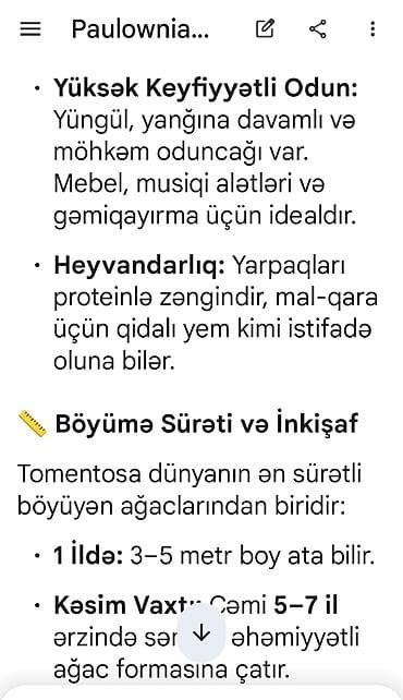 etotu bitkisi: Paulownia Tomentosa toxumları – premium sort Məhsul: - Paket: zipli — 9