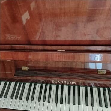 книга для чтения 4 класс озмитель е е власова и в: Пианино, Беларусь, Акустический, Б/у, Самовывоз — 2