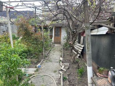 Digər avtomobillər: 1 sot, Mülkiyyətçi — 1