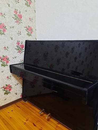 pian: Piano ela veziyyetde. 2 pedaldi. Her bir seyi ela veziyyetdedir. Unvan — 2