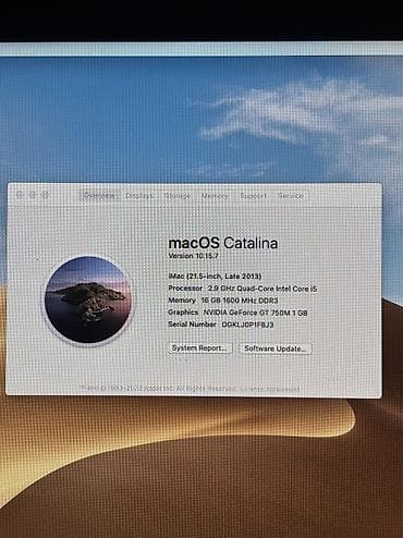 caydan dəsti: Apple iMac 21.5-inch Late 2013 * Экран: 21.5” IPS Full HD * — 7