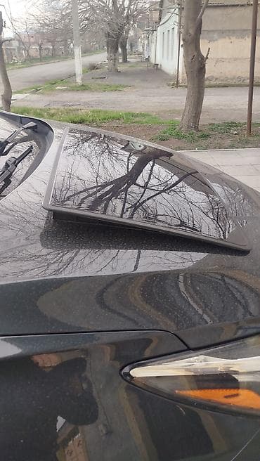 masin kuzasi: Lük, 1, 2026 il, Çin, Ünvandan götürmə — 4