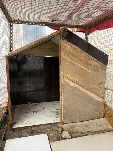 Yemlər: Taxta it evi / heyvan sığınacağı - Material: qalın taxta lövhələr və — 1