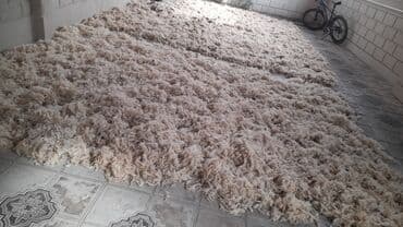 taxt döşəyi: Dösek hazirlanir.taxt döse 40 azn tek dösek 20 azn hava soyuq oldugu — 2