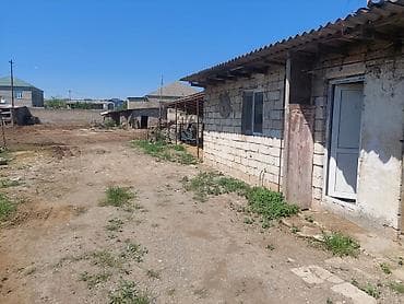 arenda donər evi: Mal-qaranın saxlanması üçün hazır ferma/binə kompleksi - Daş divarlı — 4