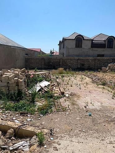 5 sot, Tikinti, Kupça (Çıxarış) — 3