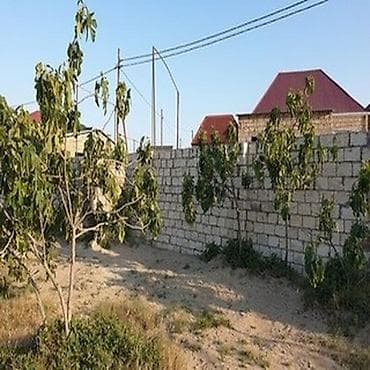 18 sot, Tikinti, Maklerlər narahat etməsin, Kupça (Çıxarış) — 2