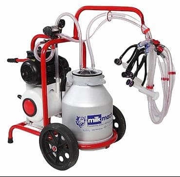 Tək bidon, Türkiyə, Paslanmaz bidon