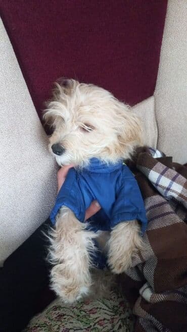 Планшеты: 🔥 RGB işıqlı YINDIAO simli klaviatura — stil, rahatlıq və performans — 3