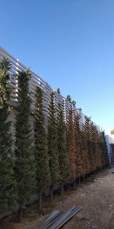 Dekorativ divar panelləri: Alüminium dekorativ panjur tipli hasar paneli - Material: yüksək — 2