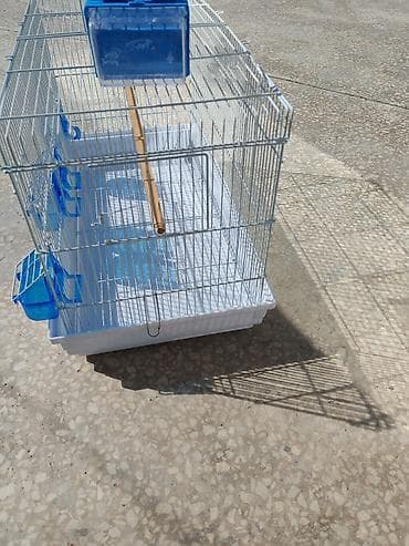 Qəfəs - bülbül və amadin üçün, təzə kimidi, 1 dəfə istifadə olunub