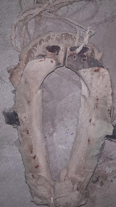 At arabası/yük arabası üçün köhnə tip qoşqu boyunduruğu (xomut) -