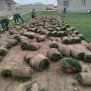 Tikinti və təmir: Pejaj və landşaft xidmətləri - Həyətyanı sahələrin tam — 3