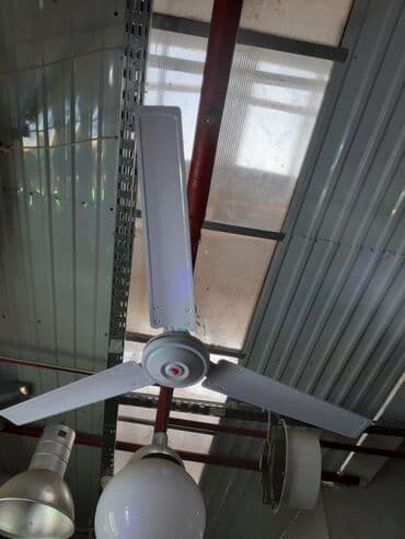 vintilyatorlar: Ventilyator Yeni, Tavan üçün, Pərli, Kredit yoxdur, Ünvandan götürmə, Pulsuz çatdırılma, Ödənişli çatdırılma — 3