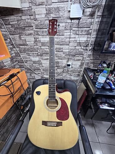 Akustik gitara, 6 sim