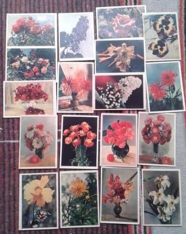 9 dollar nece manatdir: Sovet poçt açıqcaları (1950-60-70-ci illər) satılır. Hamısı Moskvada — 20