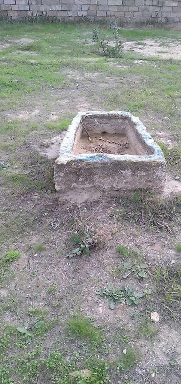 Qedimi Doshab dasi — 2