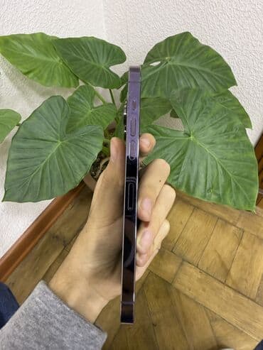 iphone 14 satis: IPhone 14 Pro Max, 256 GB, Deep Purple, Face ID — 6