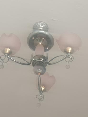 suraxanı kiraye evler: Xanim Otağ yoldaşı Axtarıram Birgə yaşamağ, təmizliyə riayət etmək — 1