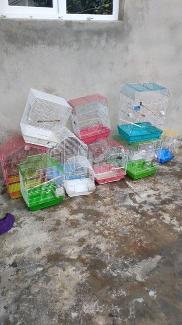 yarasa yuvasi qiymeti: Müxtəlif ölçülü və rəngli, müxtəlif quş növləri üçün uyğun olan bir — 1