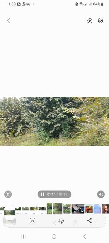 аренда и продажа недвижимости: Продаётся сад — 1