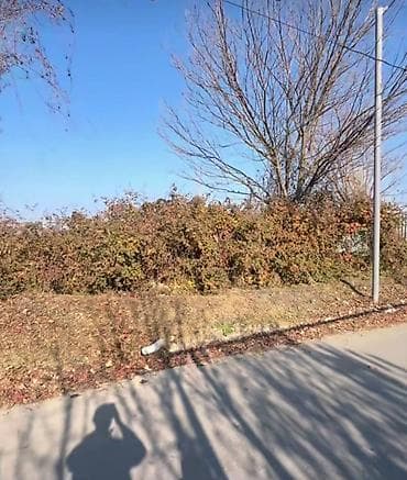 10 sot, Tikinti, Mülkiyyətçi, Kupça (Çıxarış)