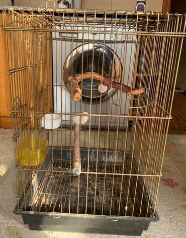 Çaydanlar: Quş qəfəsi - Material: metal karkas, çıxarılan plastik altlıq — 2