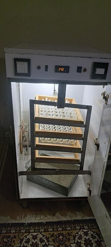 Azərbaycan, Tam avtomat — 1