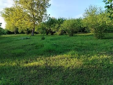 kiraye evler nefcler: 50 sot, Biznes üçün, Kupça (Çıxarış) — 7