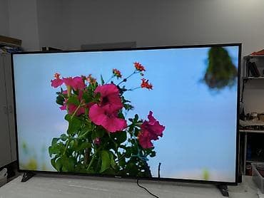 internet paylayıcı: Televizor Panasonic LED ekran 65" 4K (3840x2160) — 5