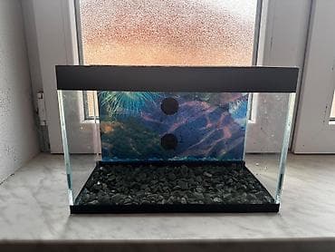 betta balığı: Dördbucaq akvarium, Boş, 9 l, Ödənişli çatdırılma — 1