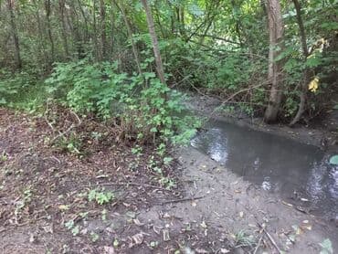 Lincoln: Огуз, 25 м², 1 комната, Газ, Водопровод, Канализация — 7