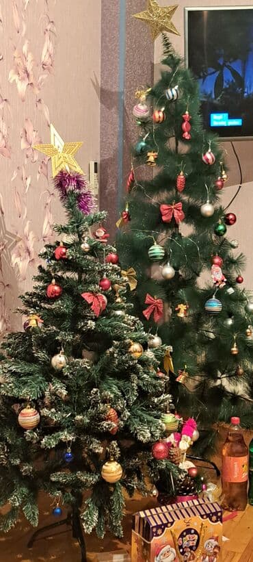 sade tort sekilleri: 2 ədəd yolka 1dənəsi 50 manat. ünvan Sumqait Heydər parka yaxin — 1