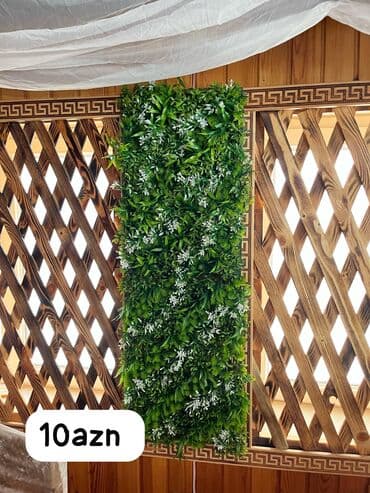 gul puketi: Elmlərdə restoran bağlanır, dəyərindən cox aşağı gitmətə satılır. Bu — 5