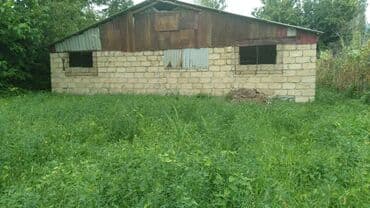 82 sot Kənd təsərrüfatı, İşıq, Su