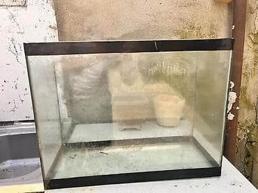 Şüşə akvarium - Material: qalın şüşə, üst və alt künclərdə