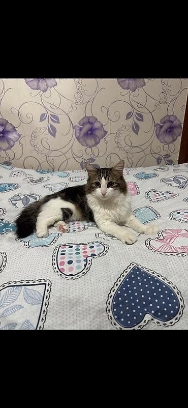 Quşlar: Yaxşı əllərə — 1