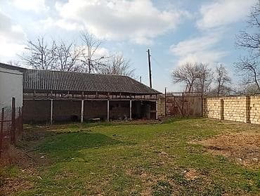 zabratda torpaq satisi: Oğuz, 100 kv. m, 3 otaqlı, Hovuzsuz, İnternet — 4