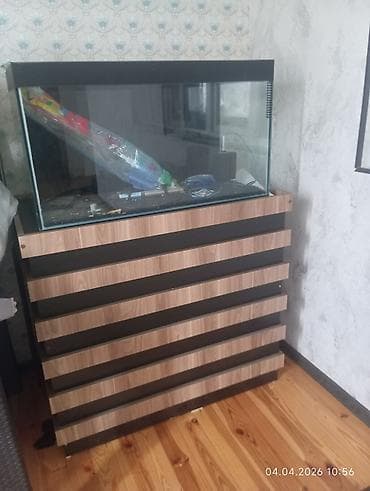 Akvaryum + şkaf dəsti - Geniş şüşə akvaryum: üst/alt perimetri qara — 2