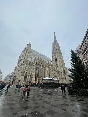 Tədbirlərin təşkili: Peşəkar tur xidməti – Vyana mərkəzində gecə və gündüz Təsvir: - — 3