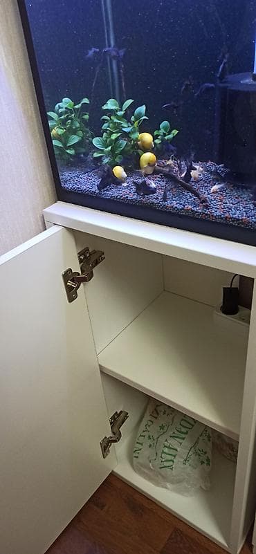 akvarium kompressor: Hündürlüyü 51.eni 27 uzunluğu 36 su tutumu 50 litr şkaf ilə balıqlar — 6