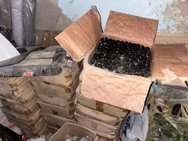 kafel metlax kataloq 2019: Xalça Kredit yoxdur — 2