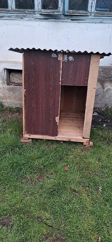 itler pekines: Taxta it evi - Material: taxta,,, möhkəmliyi yüksəy səviyyədə istəyən — 2