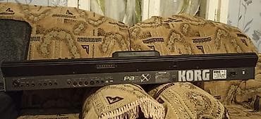 İdman və istirahət: Sintezator, Korg — 2