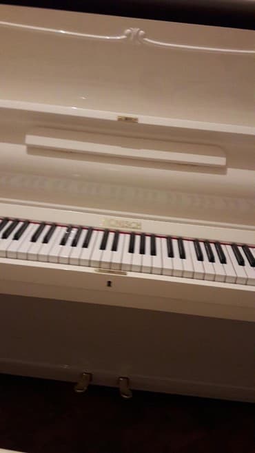 terlan elekberov: Pianino RÖNISCH Almaniya stehsalı Royalni model. Cadırılma və köklənmə — 4