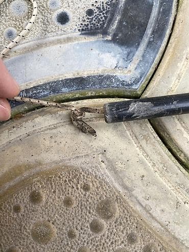 Kitablar və jurnallar: Məşhur Coleman brendindən olan ailə çadırı satılır. Xaricdən gətirilib — 8