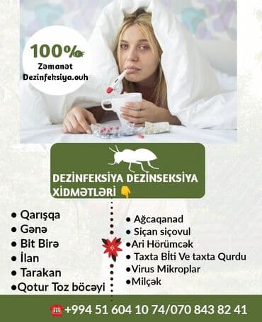 en yaxsi xalca yuma hansi: Dezinfeksiya, dezinseksiya | Taxtabiti, Birələr, Tarakanlar | Nəqliyyat, Ofislər, Mənzillər — 9